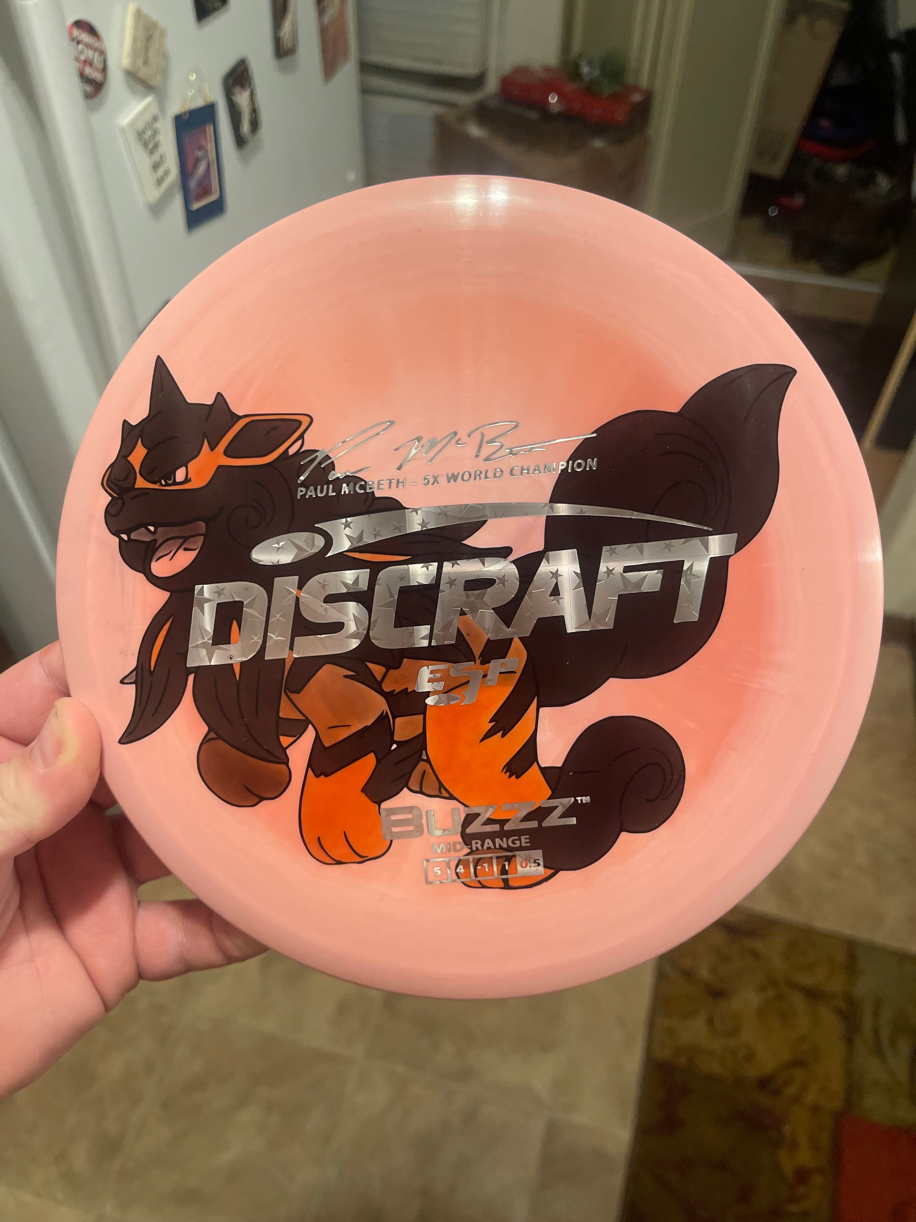 Disc Dye (must purchase a “canvas” disc as well)